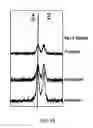 Fig. 03 - Compositions for High Energy Electrodes and Methods of Making and Use