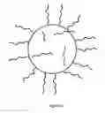 Fig. 17 - Shear activated impact resistant electrolyte