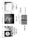 Fig. 04 - Stacked low loss stripline circulator