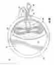 Fig. 09 - USB Lamp Base