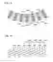 Fig. 10 - Method of manufacturing a stator operatively associated with inner and outer circumferential jigs