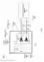 Fig. 02 - NFC or RFID device RF detuning detection and driver output power regulation