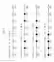 Fig. 07 - Parallel bit interleaver