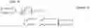 Fig. 40 - Precoding method, precoding device