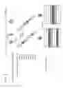 Fig. 04 - Information communication method for obtaining information using ID list and bright line image