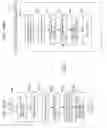 Fig. 471 - Information communication method for obtaining information using ID list and bright line image