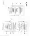 Fig. 04 - Acknowledgment based on short cell radio network temporary identifier