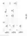 Fig. 06 - METHOD AND APPARATUS FOR VIDEO AWARE BANDWIDTH AGGREGATION AND/OR MANAGEMENT