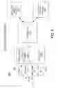 Fig. 11 - METHOD AND APPARATUS FOR VIDEO AWARE BANDWIDTH AGGREGATION AND/OR MANAGEMENT