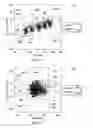 Fig. 13 - System and method for anomaly root cause analysis
