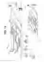 Fig. 13 - Storing decrypted body of message and key used to encrypt and decrypt body of message