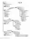 Fig. 09 - Span of responsibility access control system
