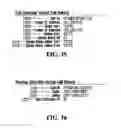 Fig. 22 - Intercepting voice over IP communications and other data communications