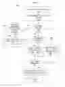 Fig. 04 - Automatic correction of skewing of digital images