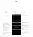 Fig. 10 - Automatic correction of skewing of digital images