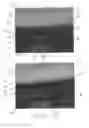 Fig. 08 - HEAD-UP DISPLAY
