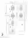 Fig. 03 - Image prediction encoding device, image prediction decoding device, image prediction encoding method, image prediction decoding method, image prediction encoding program, and image prediction decoding program