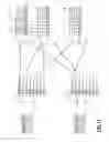 Fig. 20 - Scalable switch fabric using optical interconnects