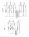 Fig. 06 - Wireless communication device