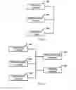 Fig. 08 - METHODS AND APPARATUSES FOR NETWORK CONNECTION