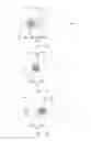 Fig. 06 - Display device and assembling method thereof