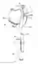 Fig. 03 - DEVICE FOR THE METERING OF SEED GRAIN