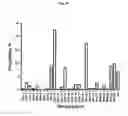 Fig. 37 - Animal Models and Therapeutic Molecules
