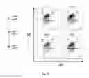 Fig. 54 - Animal Models and Therapeutic Molecules
