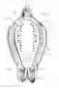 Fig. 03 - Fishing lure
