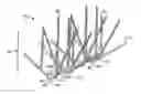 Fig. 01 - Branched spike bird deterrent
