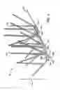 Fig. 04 - Branched spike bird deterrent