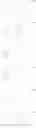 Fig. 291 - Aromatic compound and uses thereof