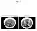 Fig. 04 - Agent for inducing callus and method for inducing callus