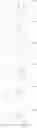 Fig. 97 - Aromatic compound and uses thereof