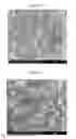 Fig. 04 - High-Load Pyrethroid Encapsulated Seed Treatment Formulations