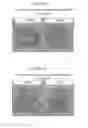 Fig. 06 - High-Load Pyrethroid Encapsulated Seed Treatment Formulations