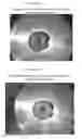 Fig. 08 - High-Load Pyrethroid Encapsulated Seed Treatment Formulations