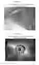Fig. 09 - High-Load Pyrethroid Encapsulated Seed Treatment Formulations