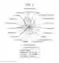 Fig. 02 - BASE, PRODUCTS CONTAINING THE SAME, PREPARATION METHODS AND USES THEREOF