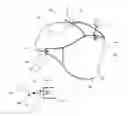 Fig. 01 - Abdomen wear