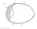 Fig. 01 - Strapless and backless bra