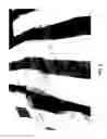 Fig. 03 - GARMENT WITH THREE-DIMENSIONAL VISUAL EFFECT