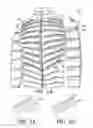 Fig. 02 - Cold weather vented garment