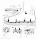 Fig. 01 - CHECK VALVE PLATE FOR SHOES