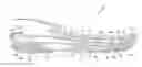 Fig. 01 - Sole structure with alternating spring and damping layers