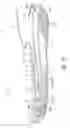 Fig. 04 - Sole structure with alternating spring and damping layers