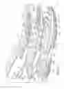 Fig. 08 - Sole structure with alternating spring and damping layers