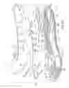 Fig. 09 - Sole structure with alternating spring and damping layers