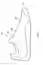 Fig. 03 - FOOTWEAR WITH DYNAMIC MODULATION