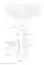 Fig. 02 - DECORATIVE ACCESSORY FOR A MOBILE DEVICE